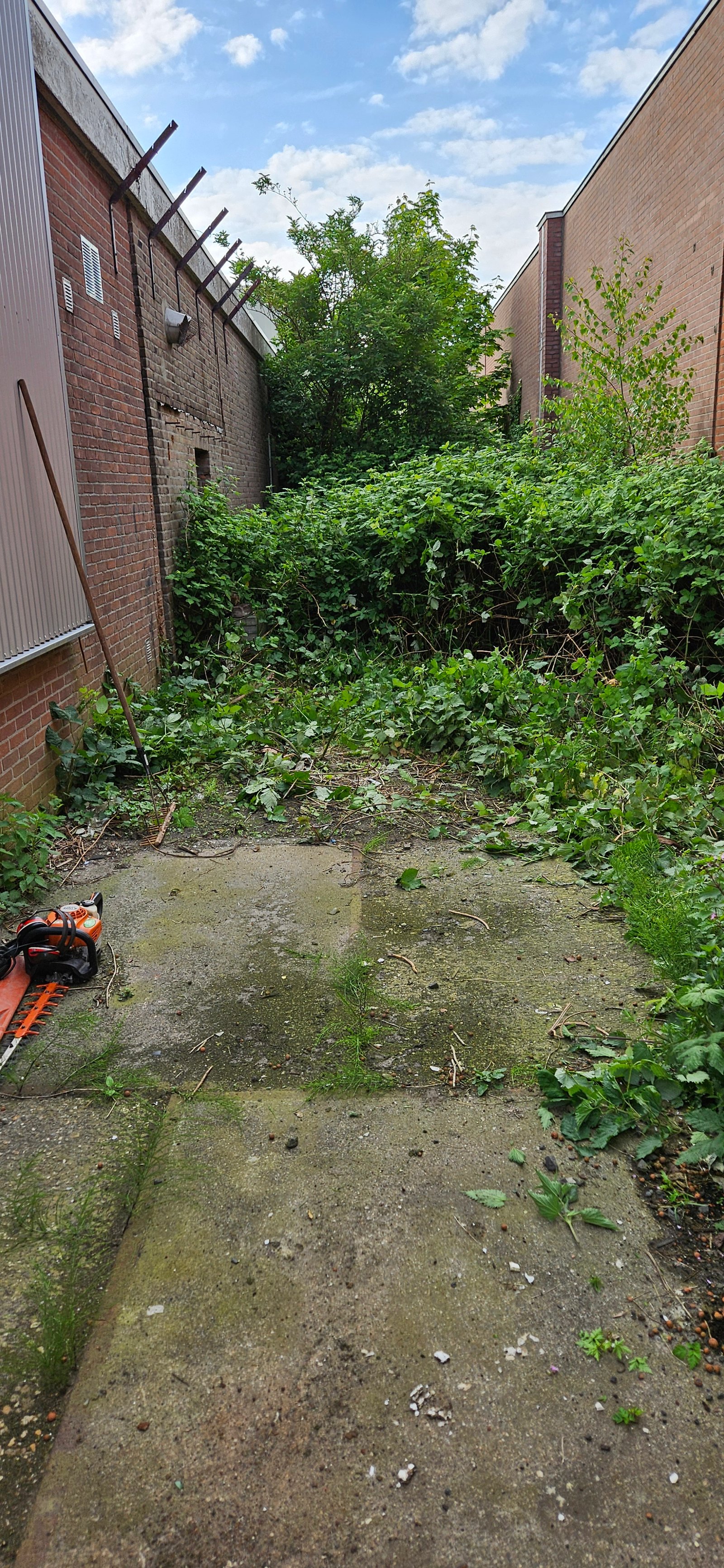 Bedrijfspand voor onderhoud, rommelige tuinomgeving