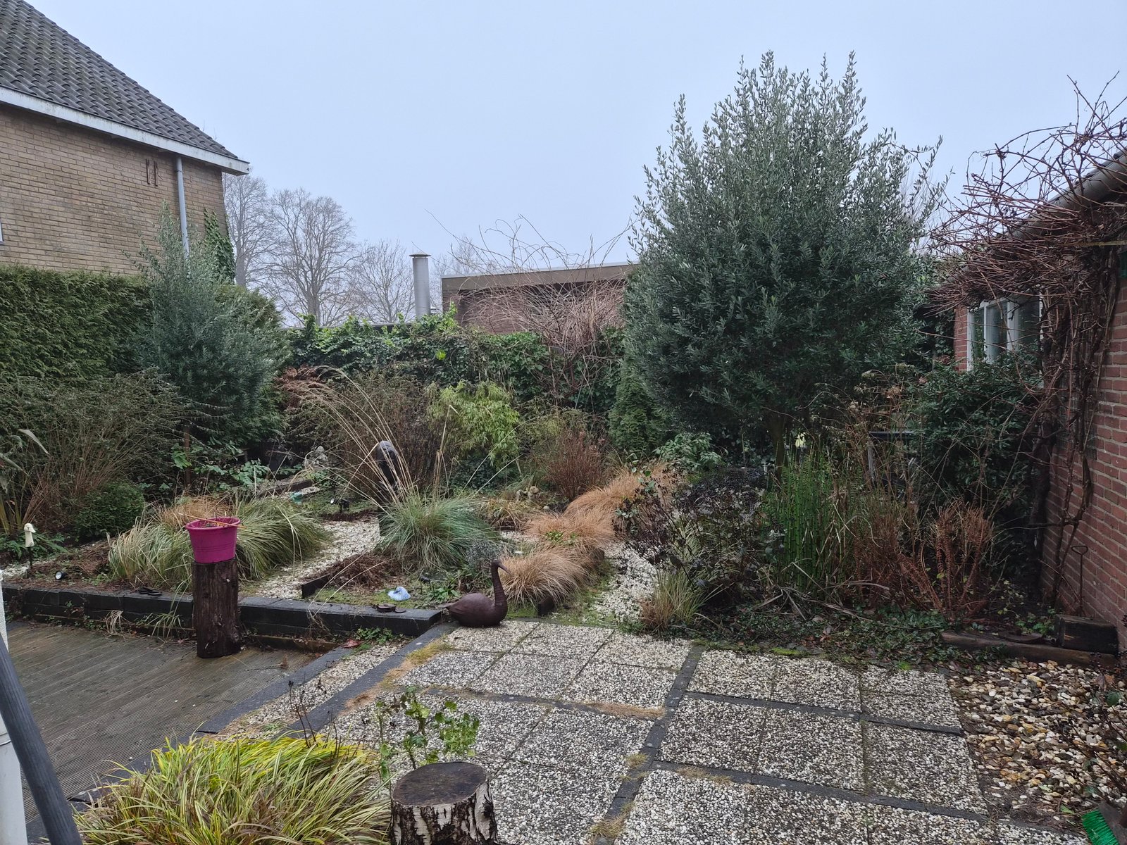 Tuin voor het onderhoud